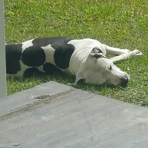 Meet your Posher, Adriana